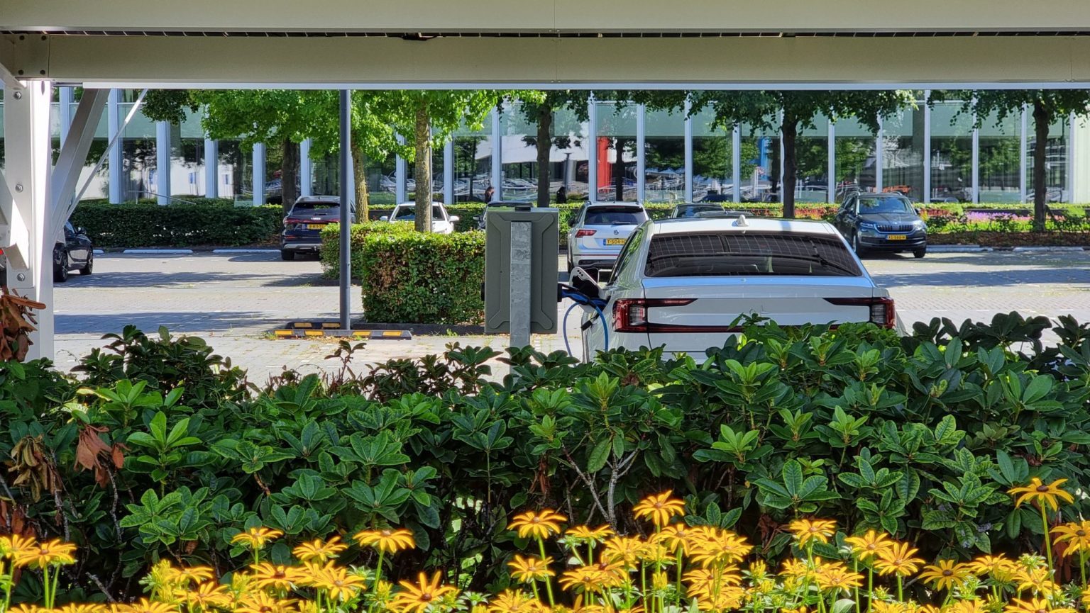 ASR auto achterzijde bloemen 20230814_162001
